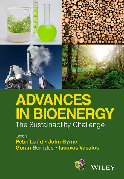 Группа авторов - Advances in Bioenergy