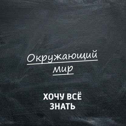 

Мир глазами медведя