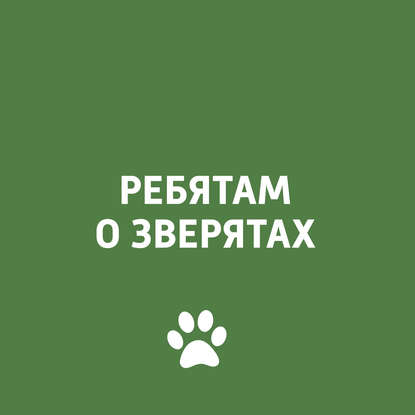 

Симбиоз