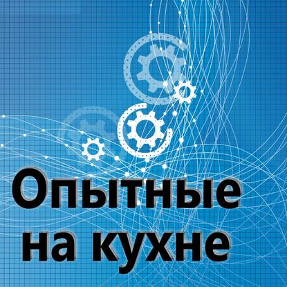 

Опытные на кухне №017