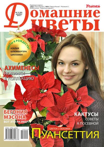 Домашние Цветы 12-2015