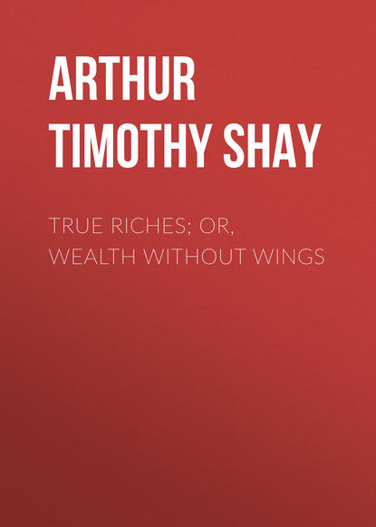 True Riches; Or, Wealth Without Wings - Arthur Timothy Shay