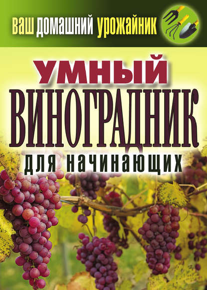 Екатерина Васильевна Животовская - Умный виноградник для начинающих