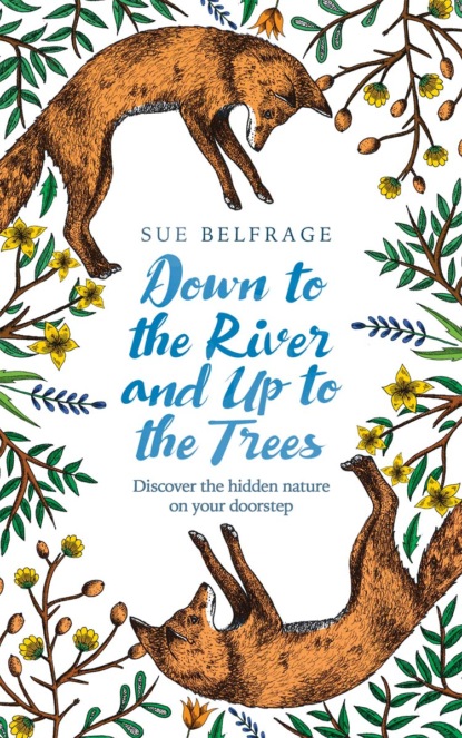 Down to the River and Up to the Trees: Discover the hidden nature on your doorstep - Sue  Belfrage