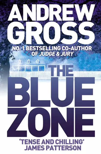 Обложка книги The Blue Zone, Andrew  Gross