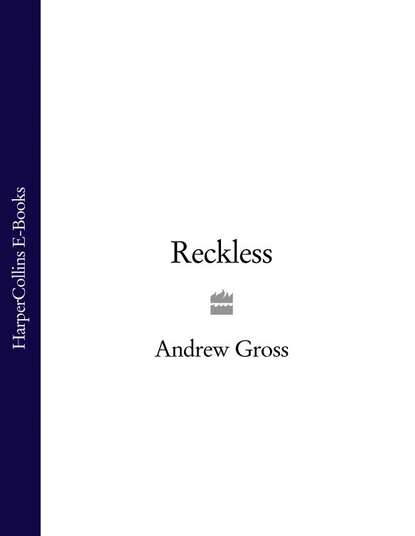 Andrew  Gross - Reckless