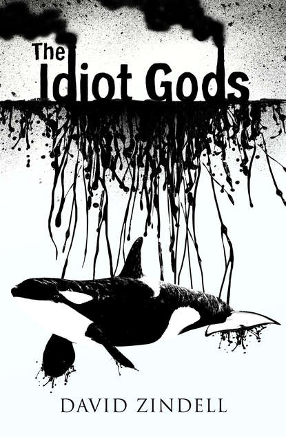 David Zindell - The Idiot Gods