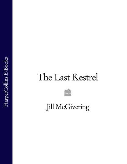 Jill  McGivering - The Last Kestrel