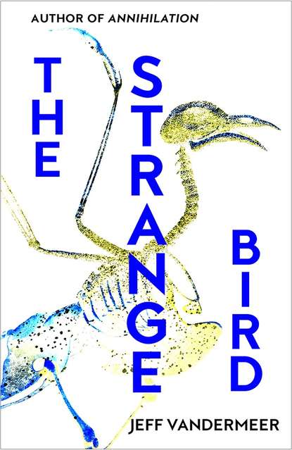 Jeff  VanderMeer - The Strange Bird