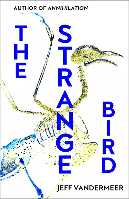 Обложка книги The Strange Bird, Jeff  VanderMeer