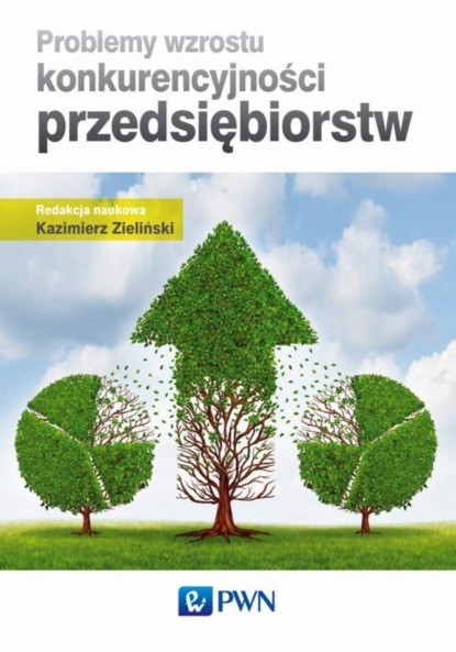 Группа авторов - Problemy wzrostu konkurencyjności przedsiębiorstw