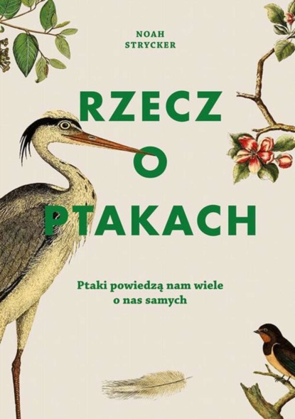 

Rzecz o ptakach