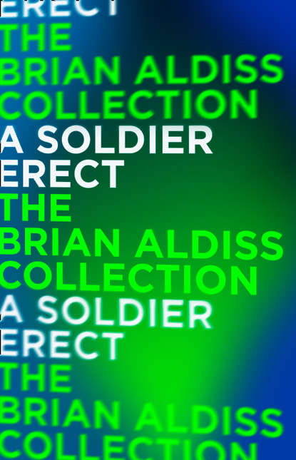 Brian  Aldiss - A Soldier Erect: or Further Adventures of the Hand-Reared Boy