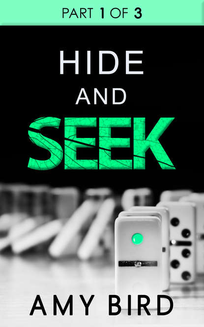 Amy  Bird - Hide And Seek