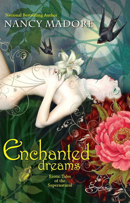 Nancy  Madore - Enchanted Dreams: Erotic Tales Of The Supernatural
