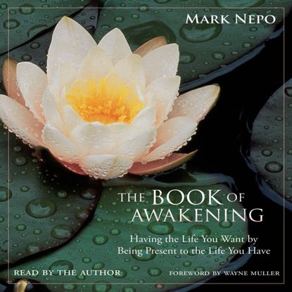 Mark Nepo — Book of Awakening