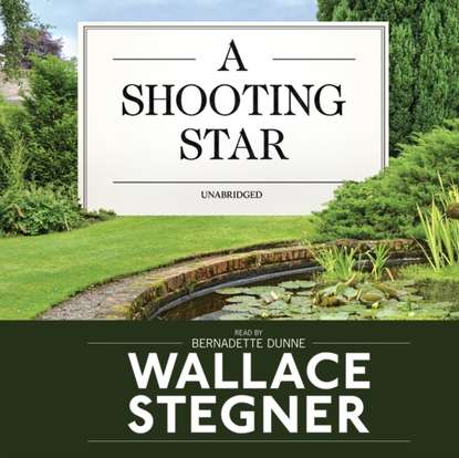 

Shooting Star