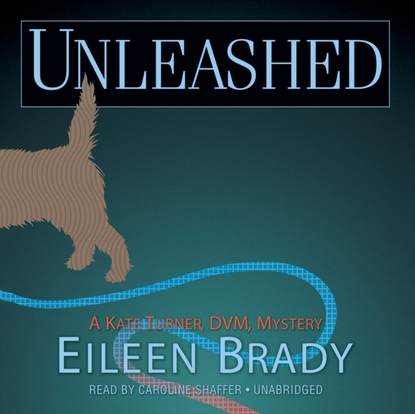 Eileen Brady — Unleashed