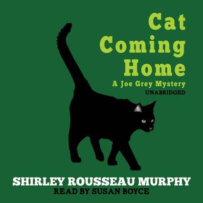 Shirley Rousseau Murphy — Cat Coming Home