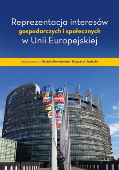 Группа авторов - Reprezentacja interesów gospodarczych i społecznych w Unii Europejskiej