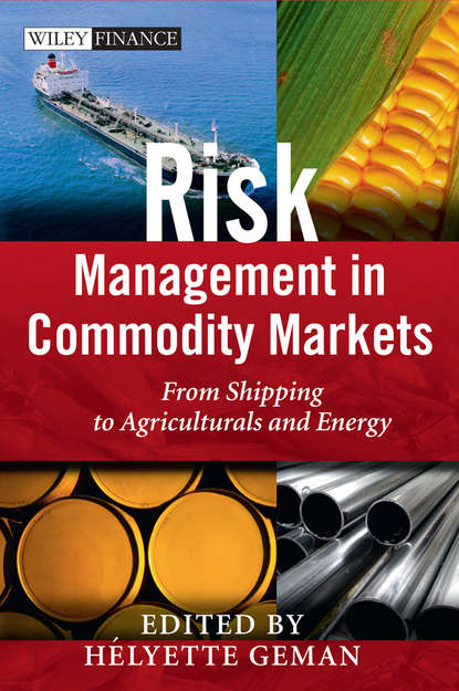 Risk Management in Commodity Markets - Группа авторов