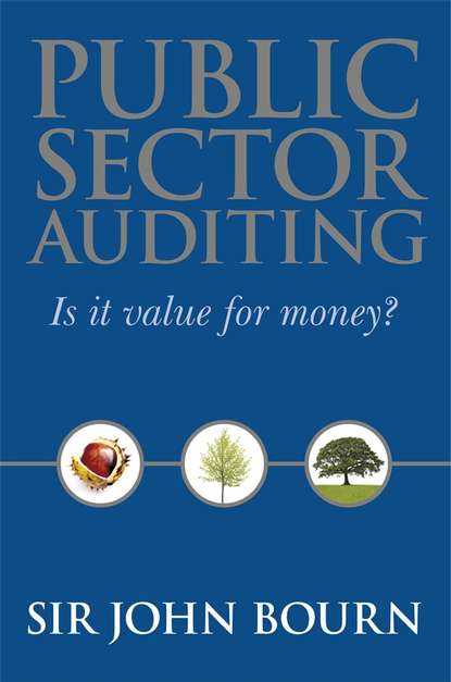 Группа авторов - Public Sector Auditing