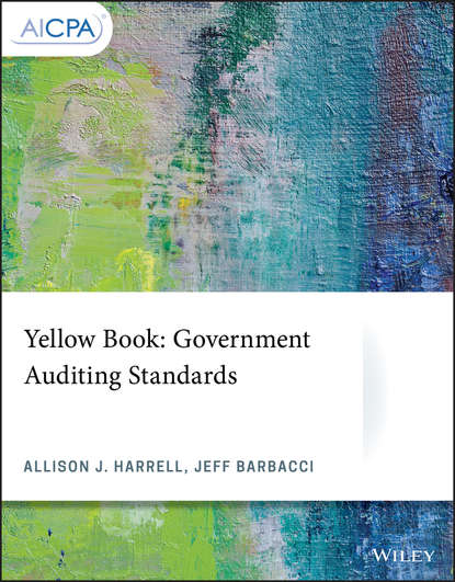 Jeff Barbacci — Yellow Book: Government Auditing Standards