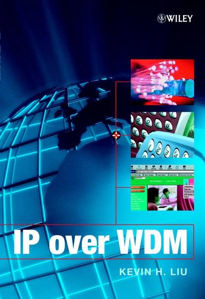Группа авторов — IP over WDM