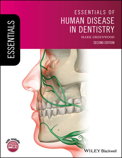 Группа авторов - Essentials of Human Disease in Dentistry