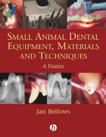 Группа авторов - Small Animal Dental Equipment, Materials and Techniques