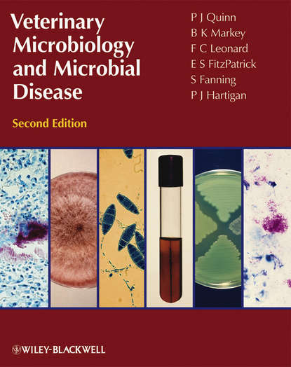 P.  Hartigan - Veterinary Microbiology and Microbial Disease