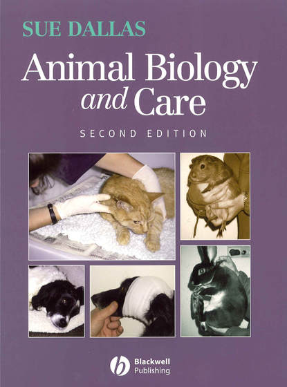 Группа авторов - Animal Biology and Care