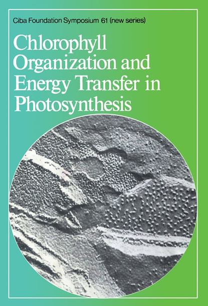 Chlorophyll Organization and Energy Transfer in Photosynthesis (CIBA Foundation Symposium). 