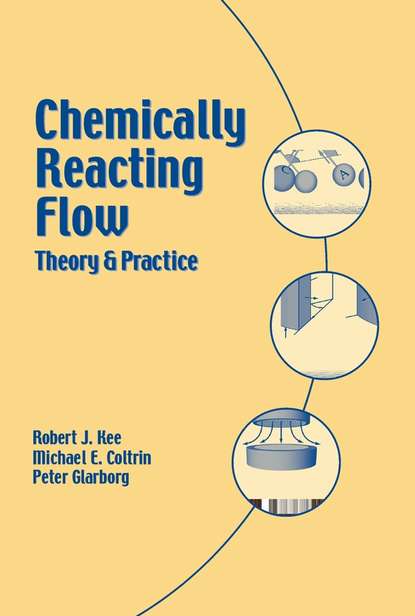 Chemically Reacting Flow (Peter  Glarborg). 