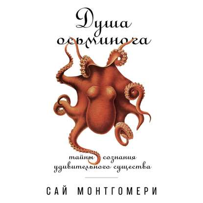 Сай Монтгомери - Душа осьминога: Тайны сознания удивительного существа