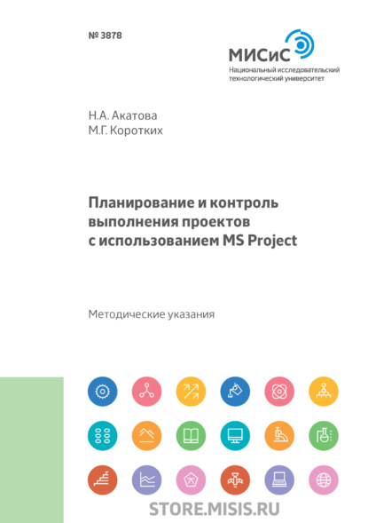        MS Project