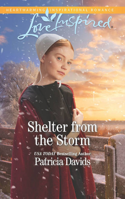 Shelter From The Storm (Patricia  Davids). 