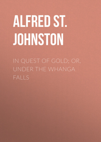 

In Quest of Gold; Or, Under the Whanga Falls