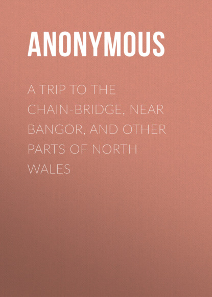 Anonymous - A Trip to the Chain-Bridge, Near Bangor, and Other Parts of North Wales