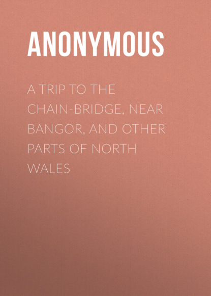 

A Trip to the Chain-Bridge, Near Bangor, and Other Parts of North Wales