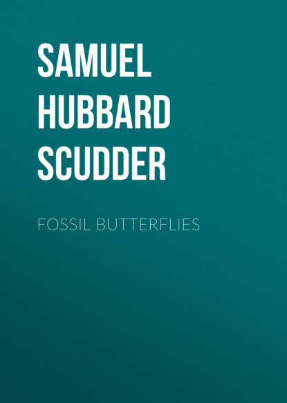 

Fossil Butterflies
