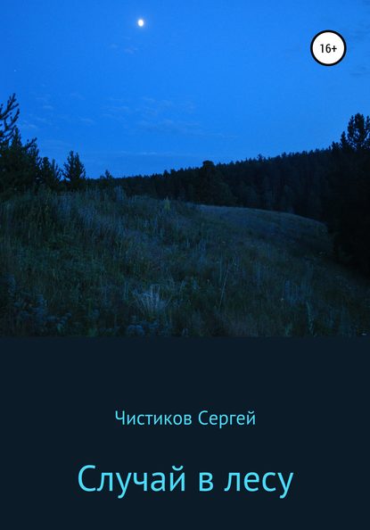 Сергей Чистиков — Случай в лесу