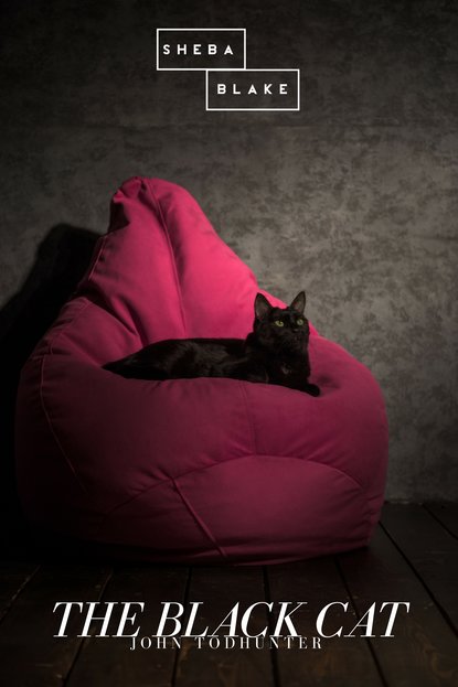 

The Black Cat