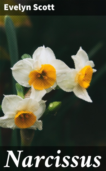 

Narcissus