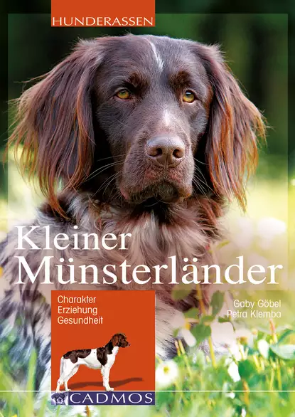 Обложка книги Kleiner Münsterländer, Gaby Göbel