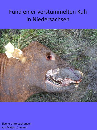 Fund einer verstümmelten Kuh in Niedersachsen