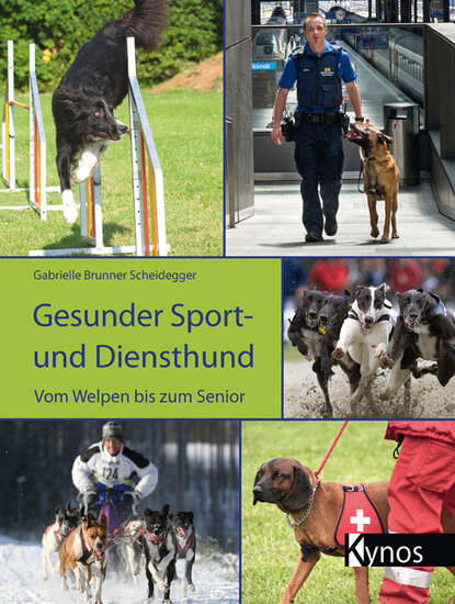 

Gesunder Sport- und Diensthund