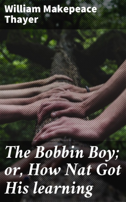 

The Bobbin Boy; or, How Nat Got His learning