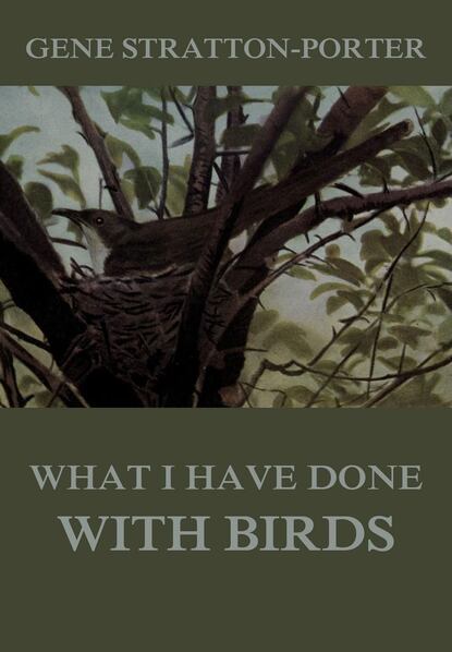 Stratton-Porter Gene - What I have done with birds