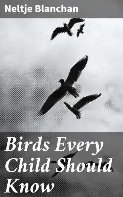 

Birds Every Child Should Know